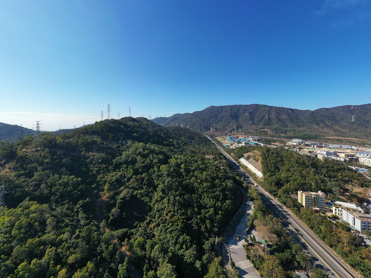 应届生落户深圳需要什么条件