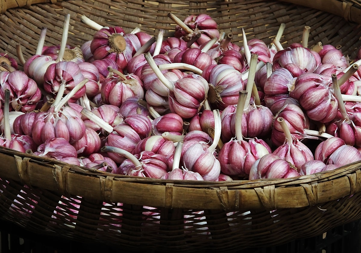 新冠疫情对大蒜出口的影响怎么写摘要