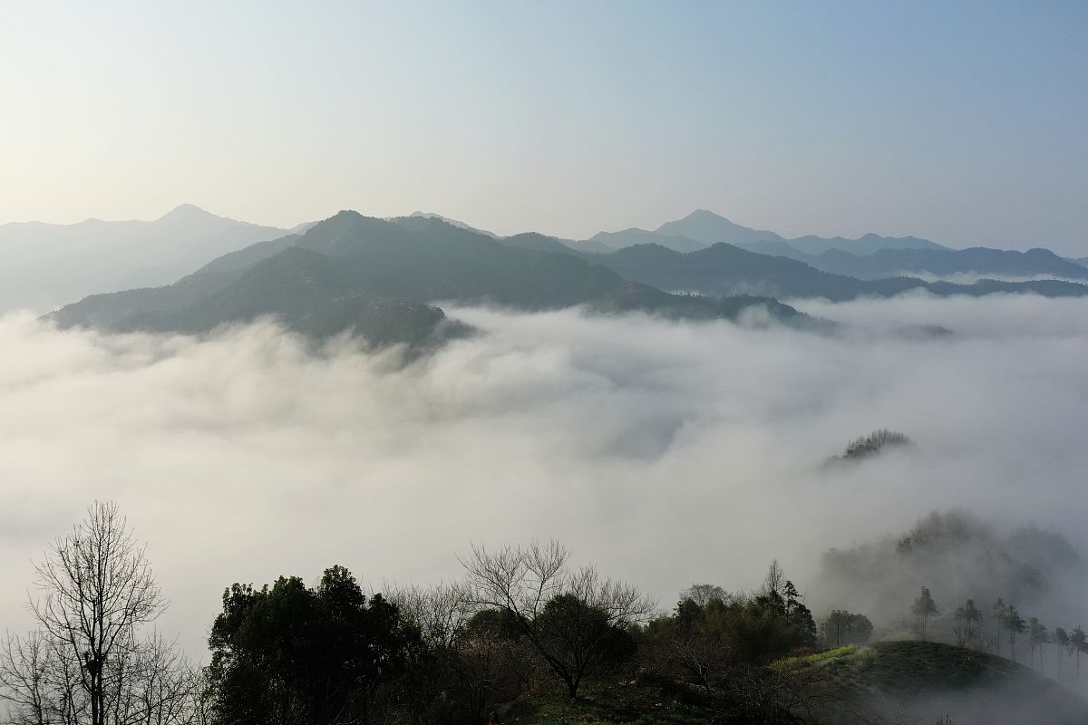 黄山东华技工学校2021年录取分数线是多少？-附报考指南