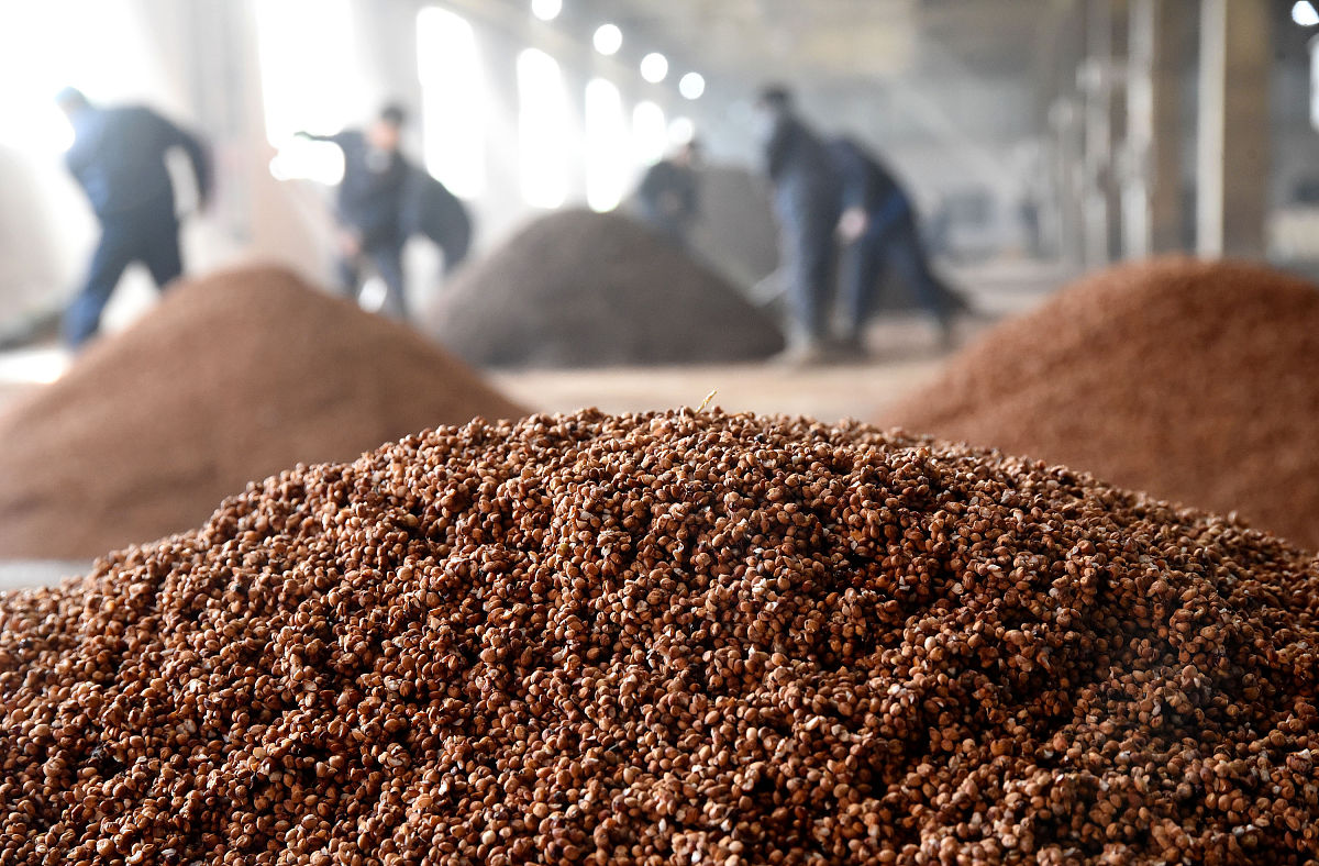 酿酒高粱开口率：提升酒精度和品质的关键