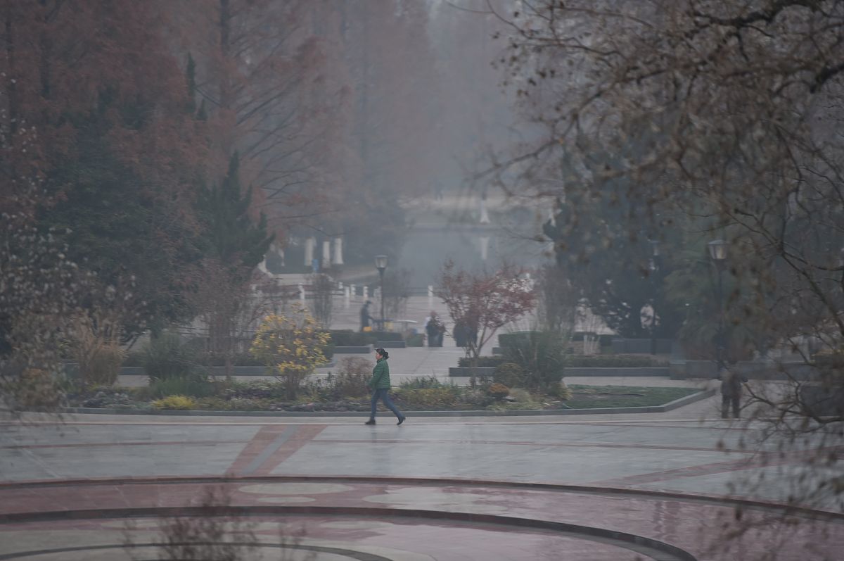 合肥媒体求助微信号。要求：写一篇500字左右的文章。