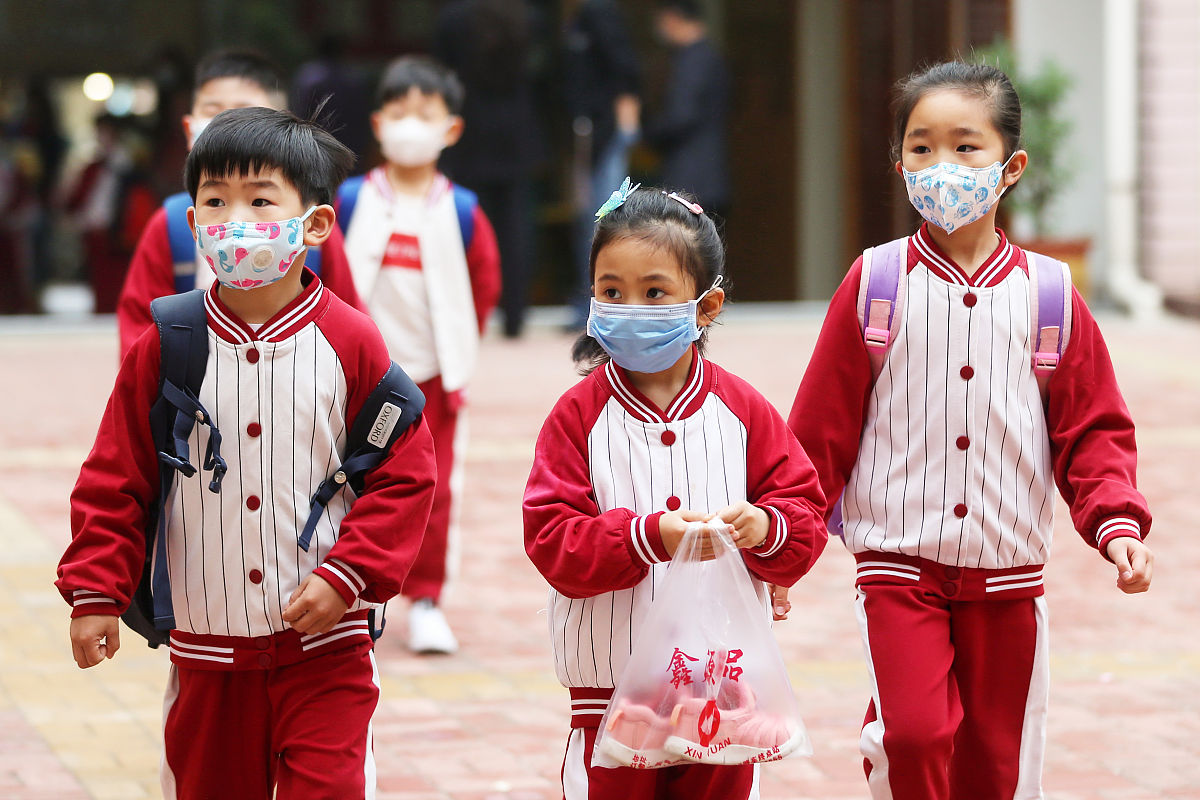 大班幼儿连续性观察指南：方法、内容和分析