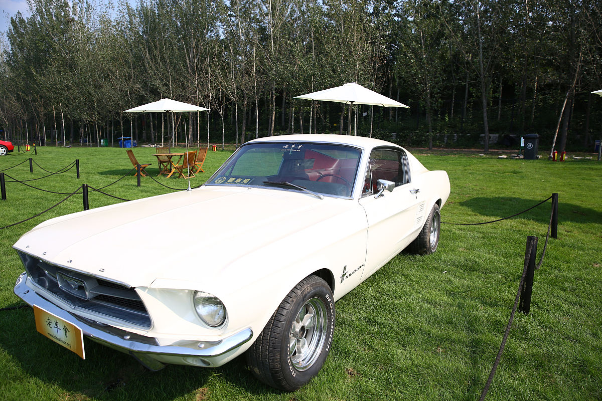 烟台黄金职业学院招生电话_好不好