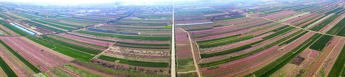 我为灵丘家乡发展建言献策