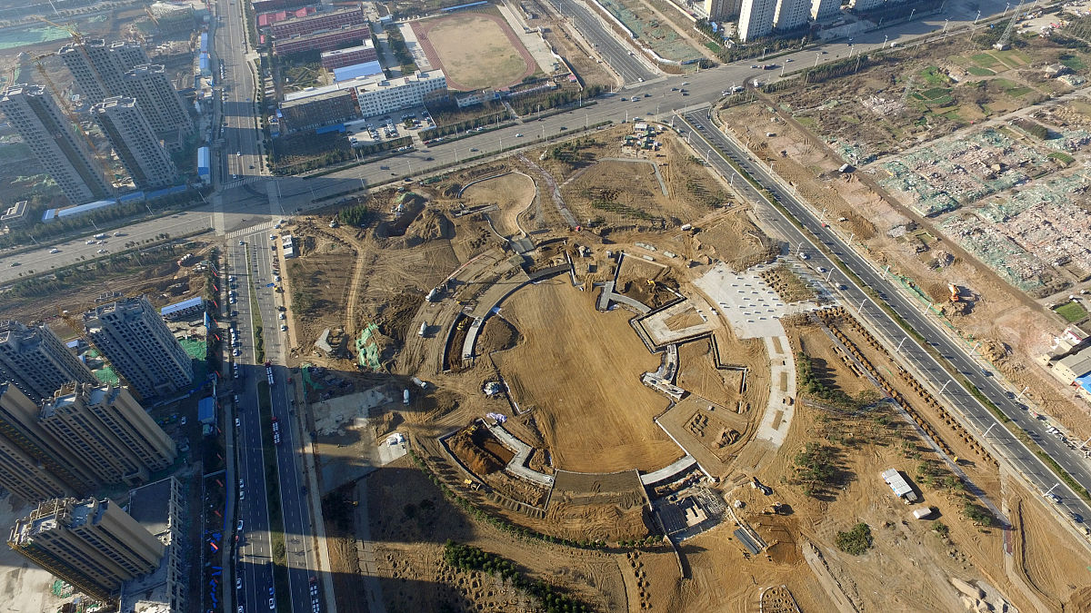 延安市宝塔区大树进城存在的问题及对策分析的研究背景不少于600字。