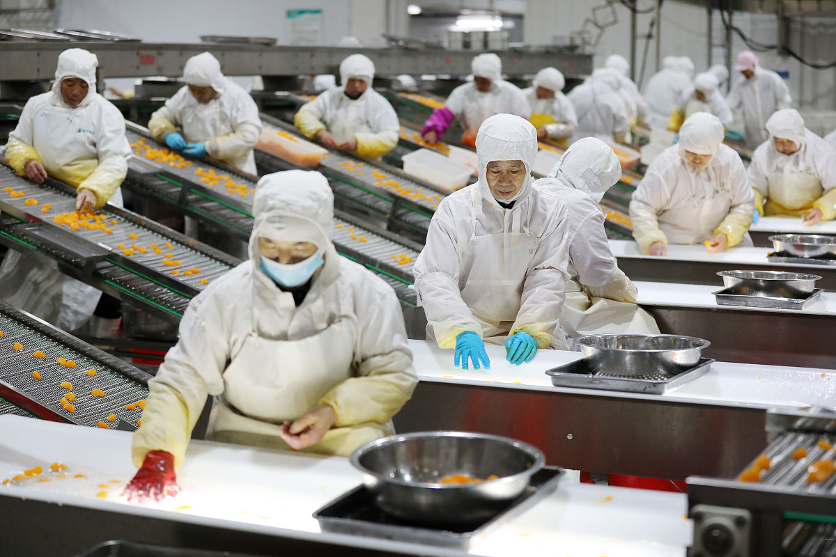 食品加工技术专业就业前景：2023年趋势及发展方向