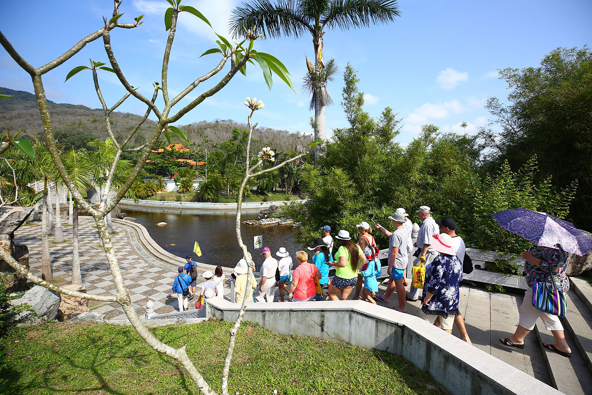 寻找完美的旅行方式：适合您的旅行类型指南