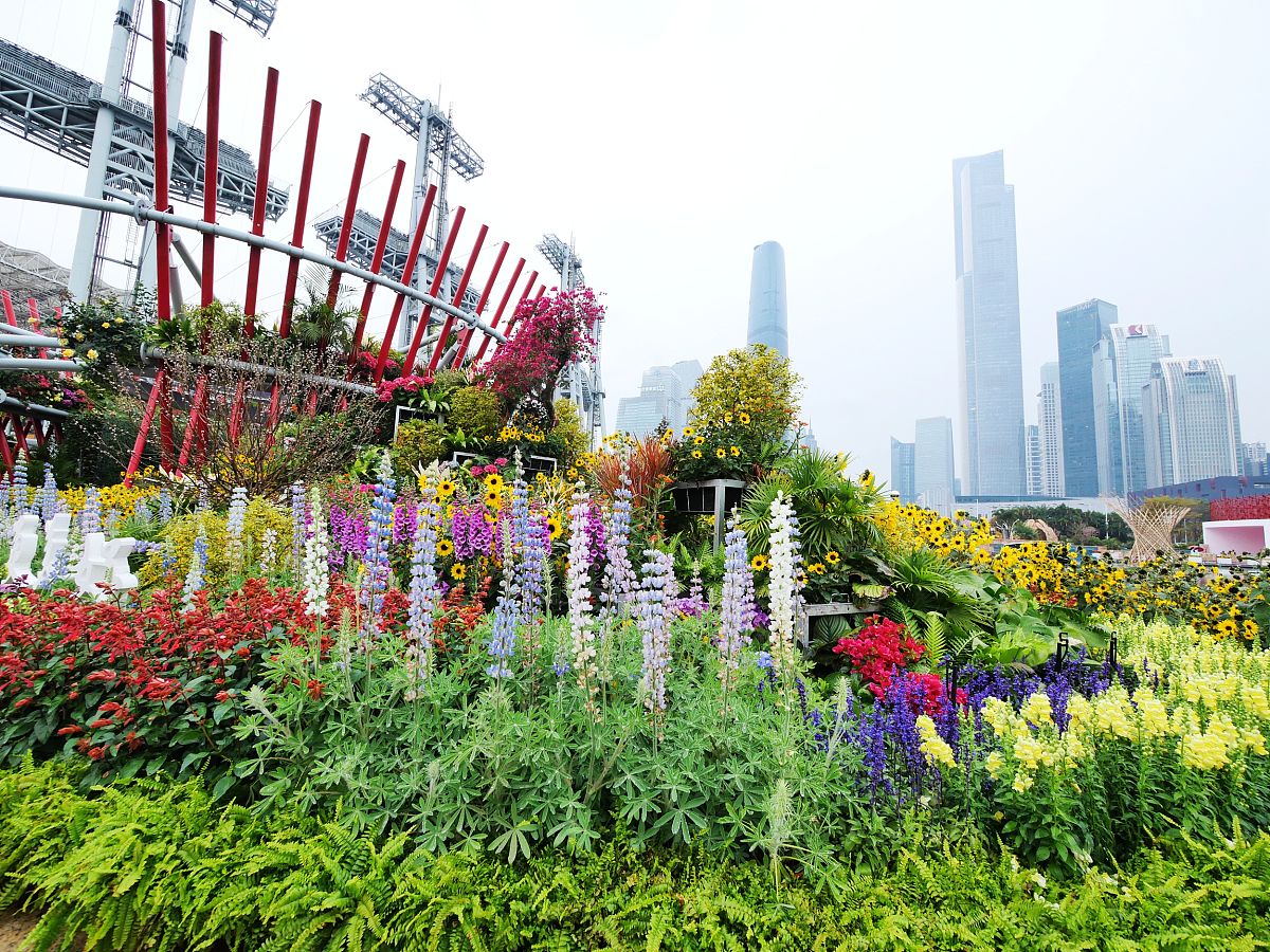 贵阳女子职业学校园林技术专业招生 - 2022年