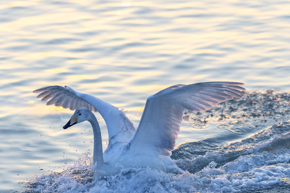 威海海洋职业学院水产养殖技术专业：实践能力提升指南