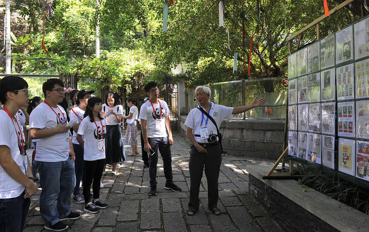 2018年8月9日,福州熊猫世界志愿者李智启向两岸大学生介绍已故熊猫"巴