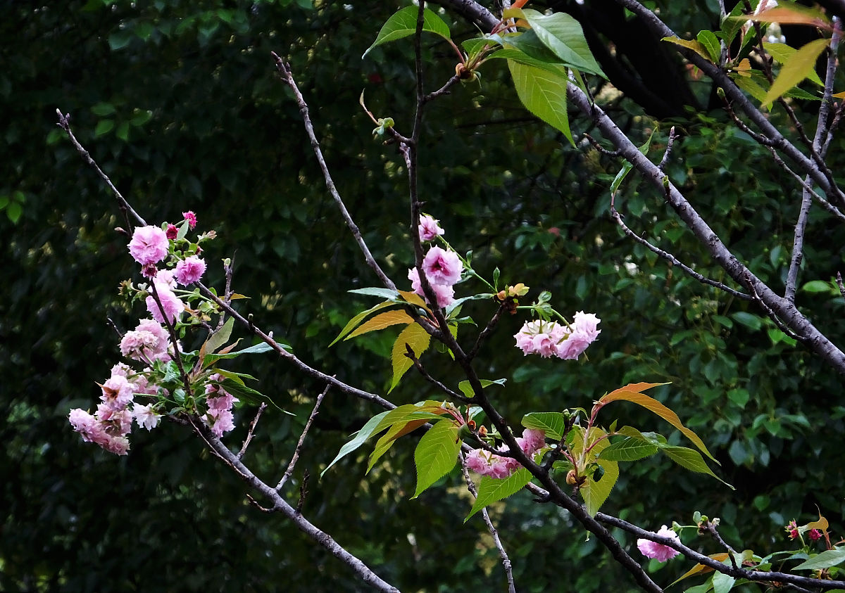 重庆三峡联合职业大学物流管理专业怎么样？教学质量解析