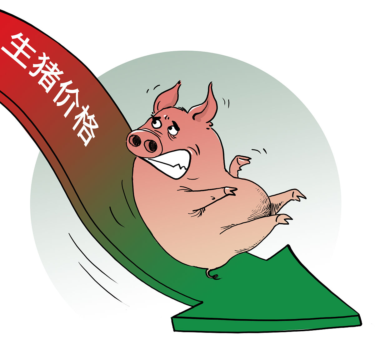 猪肉一年价格高点低点在什么月份