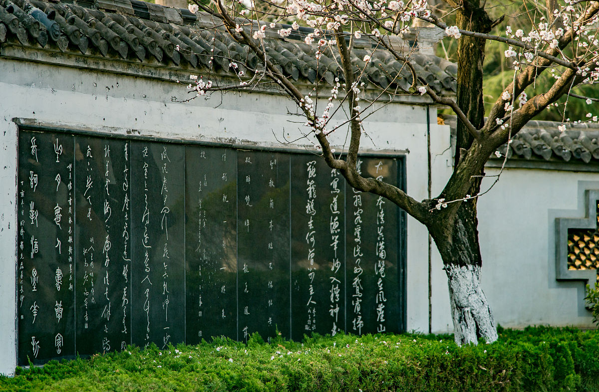 2022年3月23日,春日里的山东临沂书法广场,鸟语花香,生机盎然.