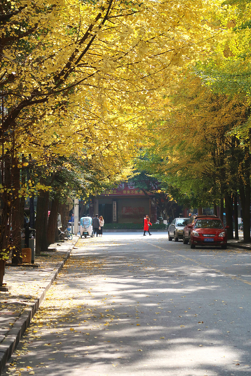 2018江油职业中学排名更新了