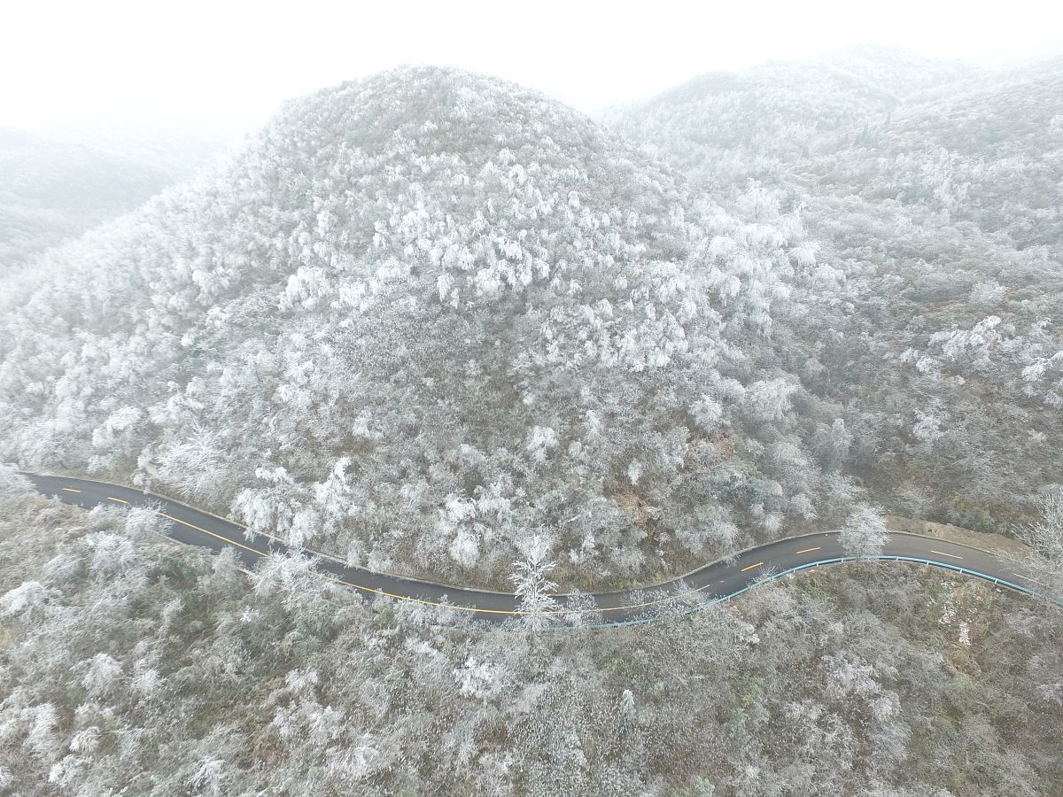 白云区今天天气