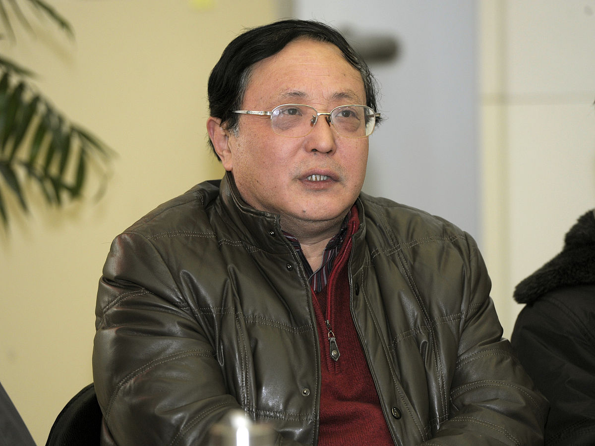 2015年02月05日,江苏省南京市,南京大学艺术研究院教授康尔.