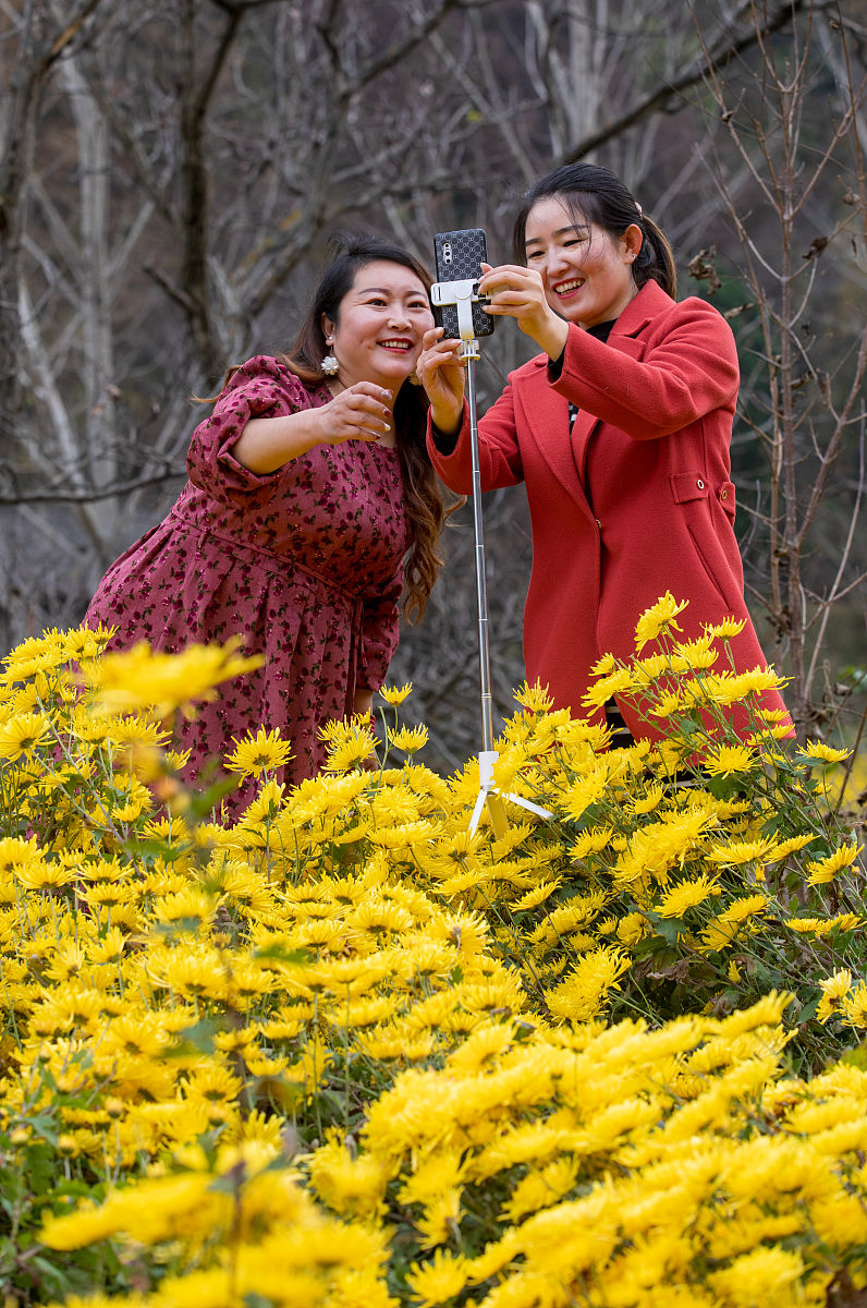 ERP系统维护完成，部分操作调整，请查阅新操作手册