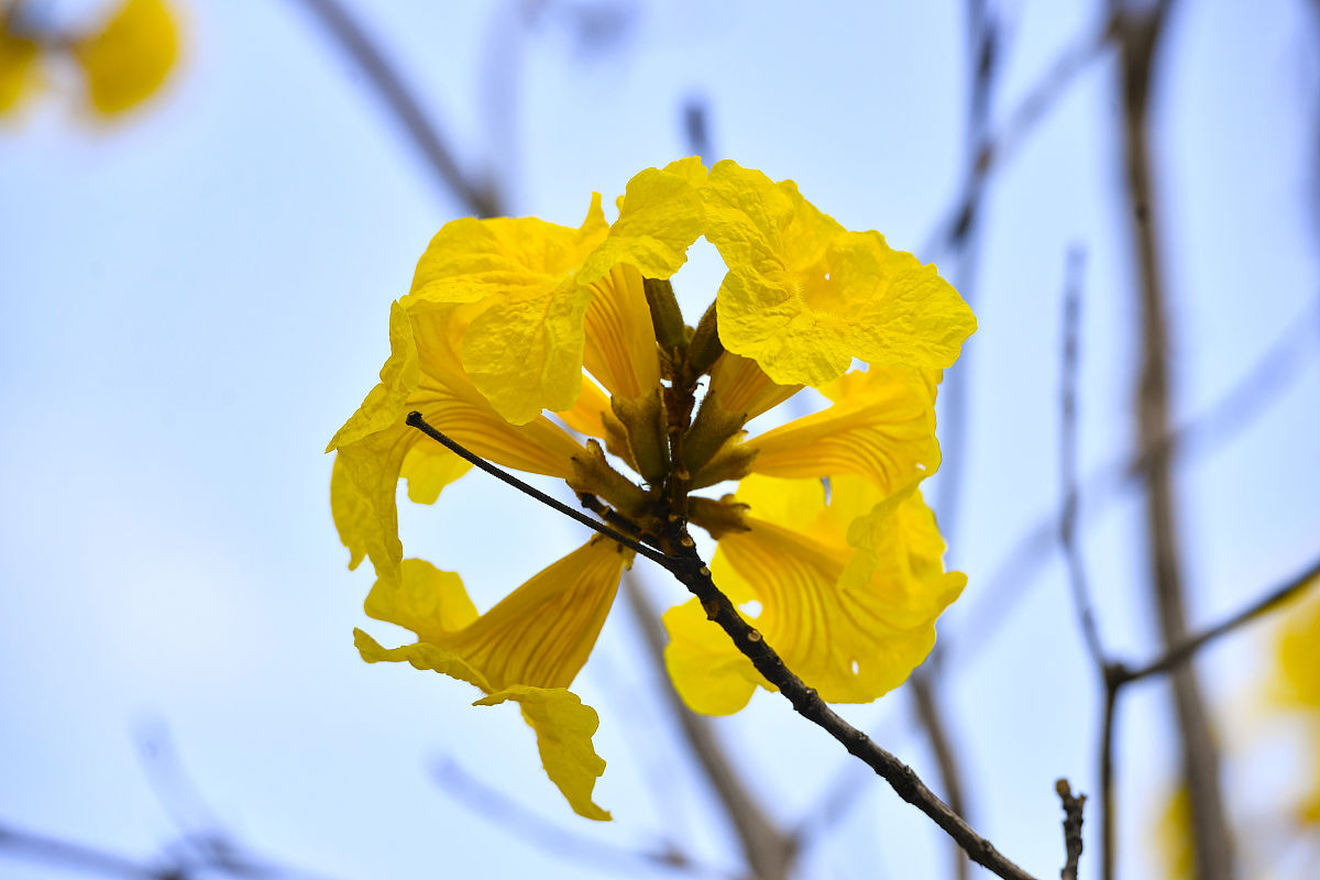 广东民政职业技术学校2022年招生简章