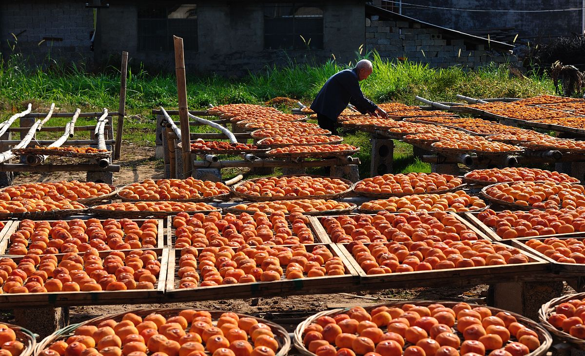 曲靖市农业职业学校2019年五年制高职专业计划