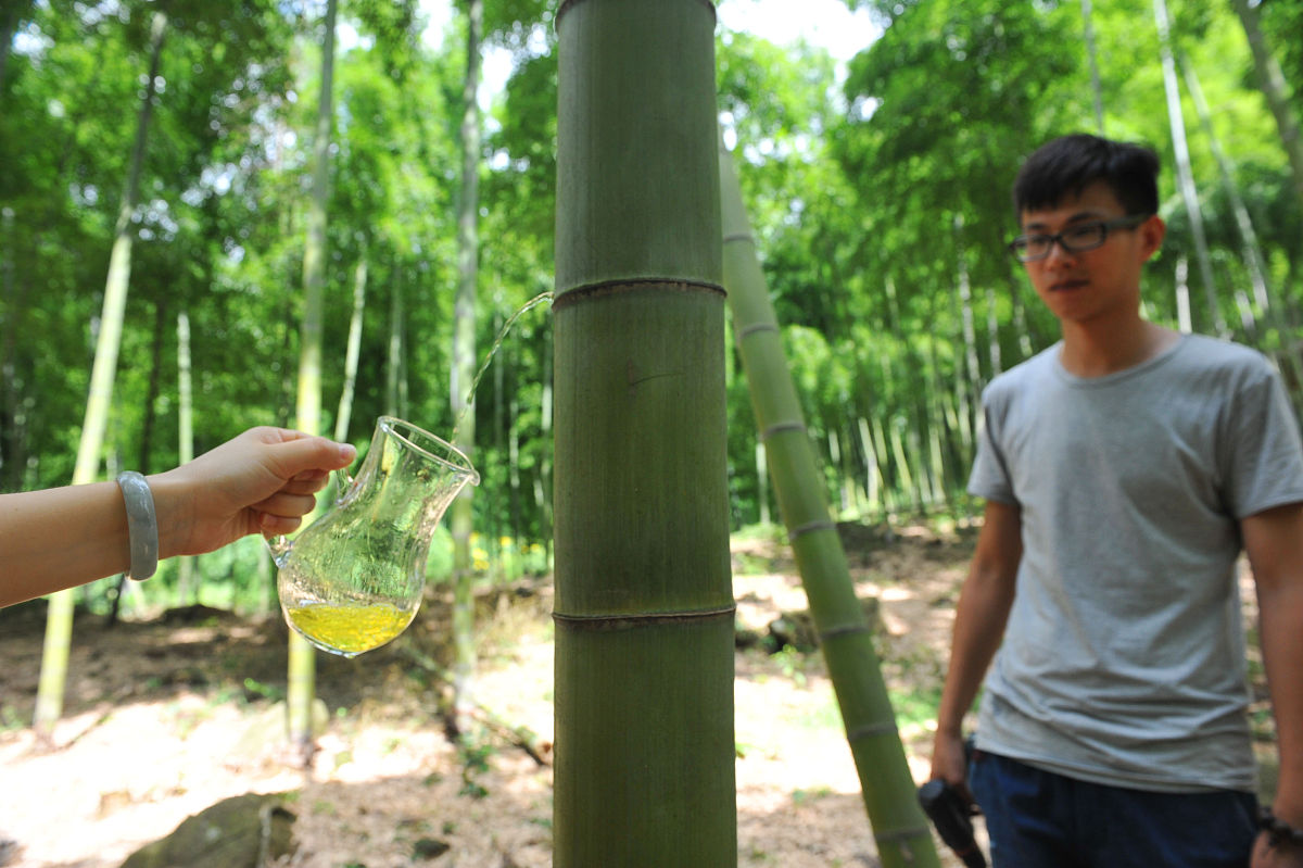2016年7月17日,浙江省临安市白水涧村"鲜竹酒"种植基地内,工作人员利