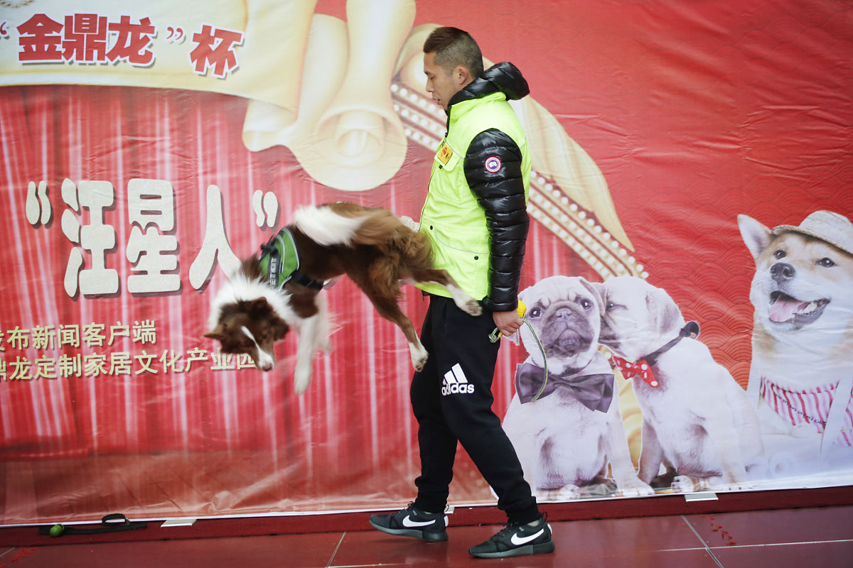 写一段班主任竞聘比赛成功结束的话语字数100要有文采和高度。