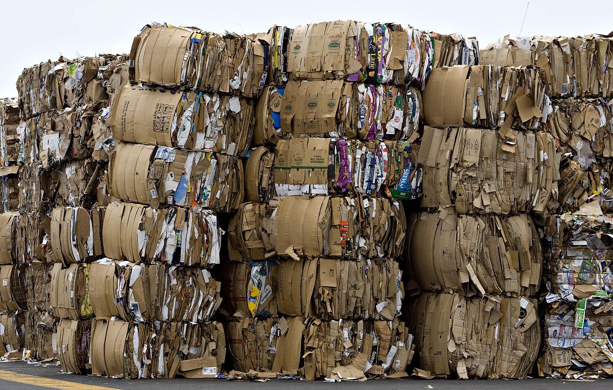 废旧无纺衬纸和废纸板那个贵