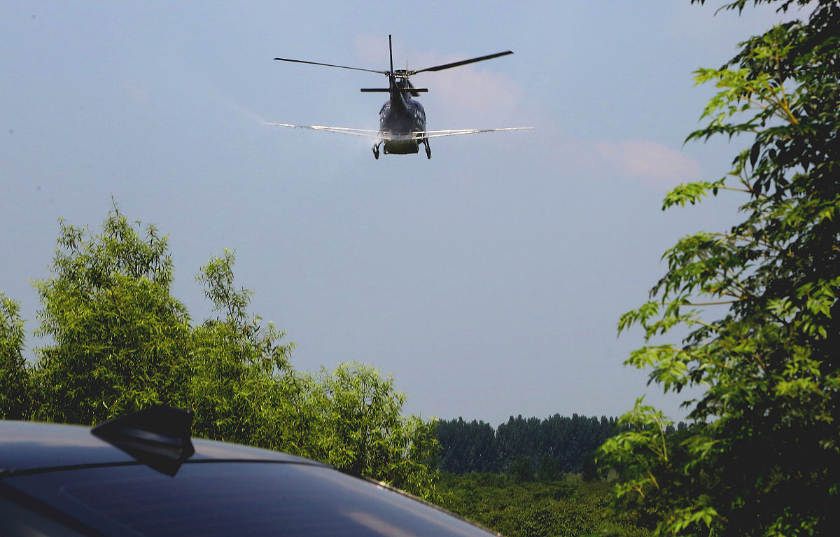植物保护中的化学手段：应用、问题与可持续性解决方案
