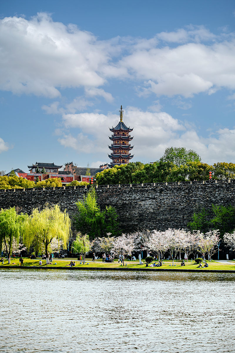 2021年3月26日,春日的南京城墙,绿树樱花,很<strong>好看</strong>,尤其是玄武湖一段的