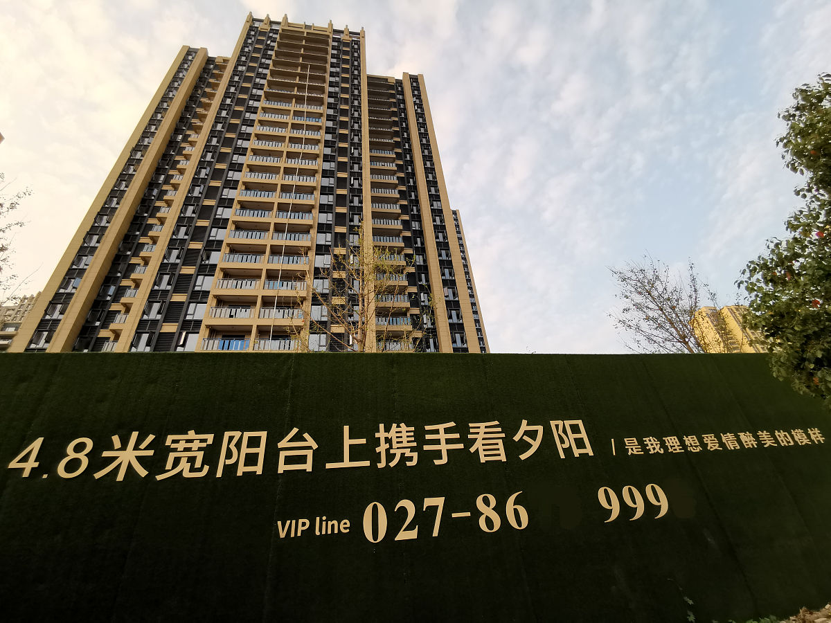 碧桂园控股有限公司：中国房地产领军企业