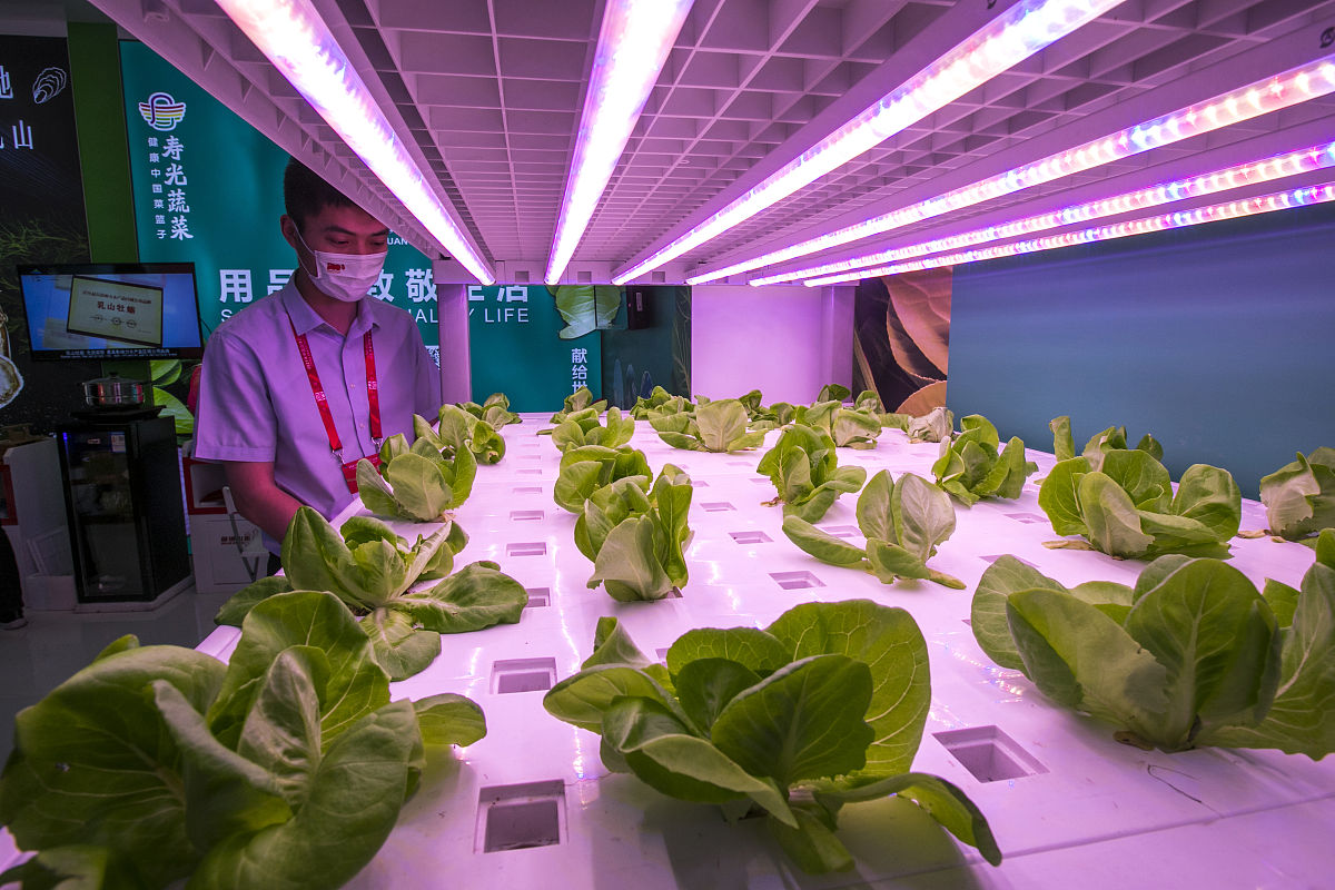 计算机视觉在果蔬生产中的应用研究：关键科学问题解析