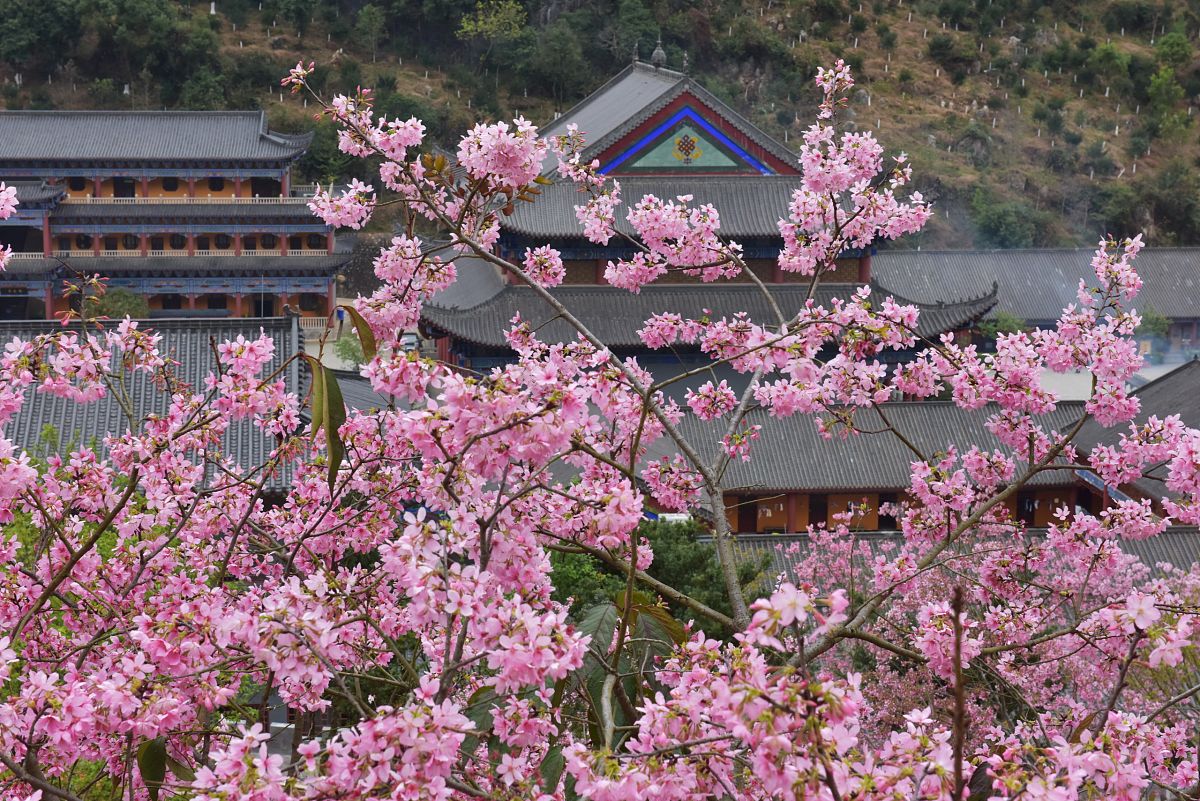 三生三世十里桃花：探秘中国最美小县城，千年历史与现代风情交织