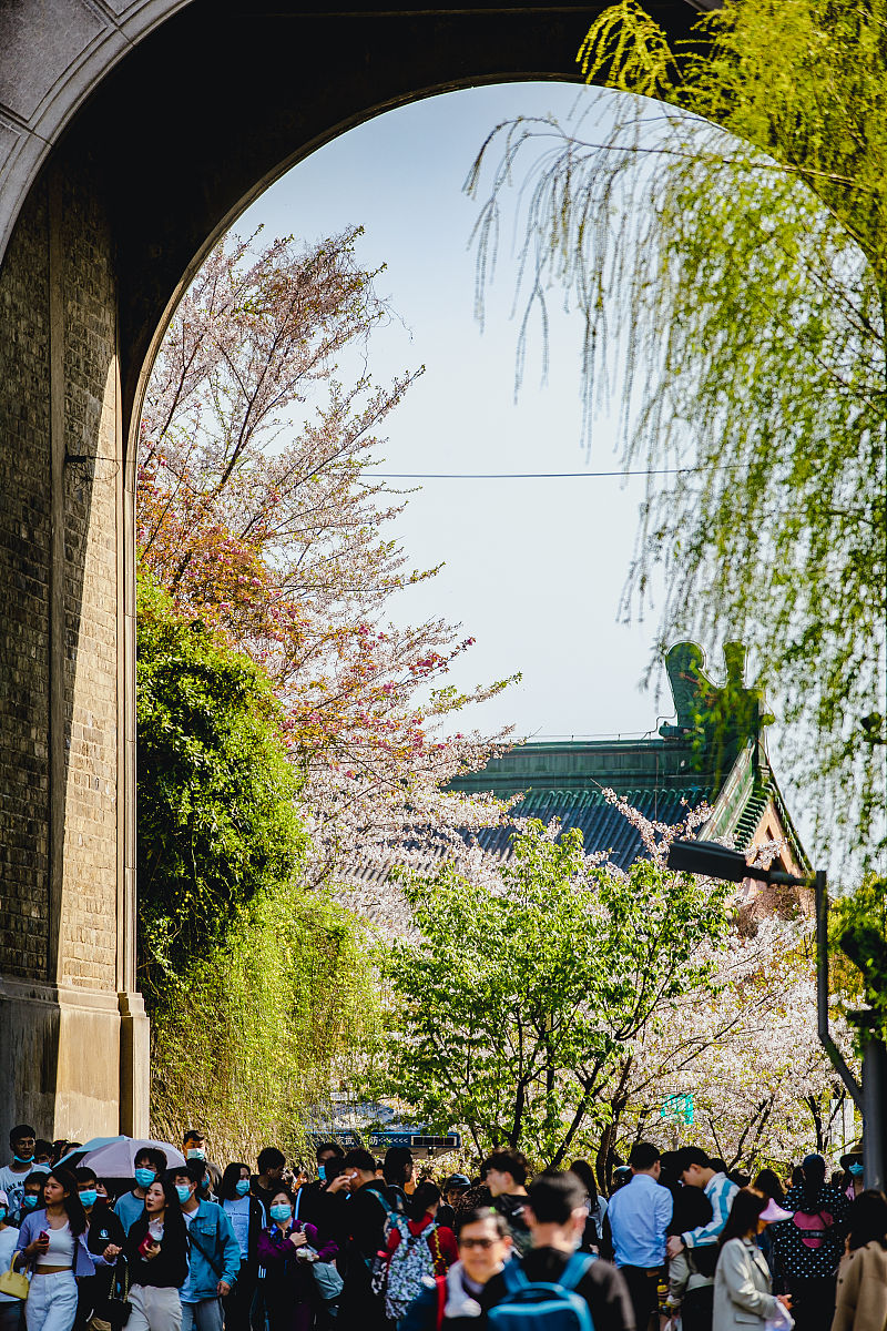 2021年3月26日,春日的南京城墙,绿树樱花,很<strong>好看</strong>,尤其是玄武湖一段的