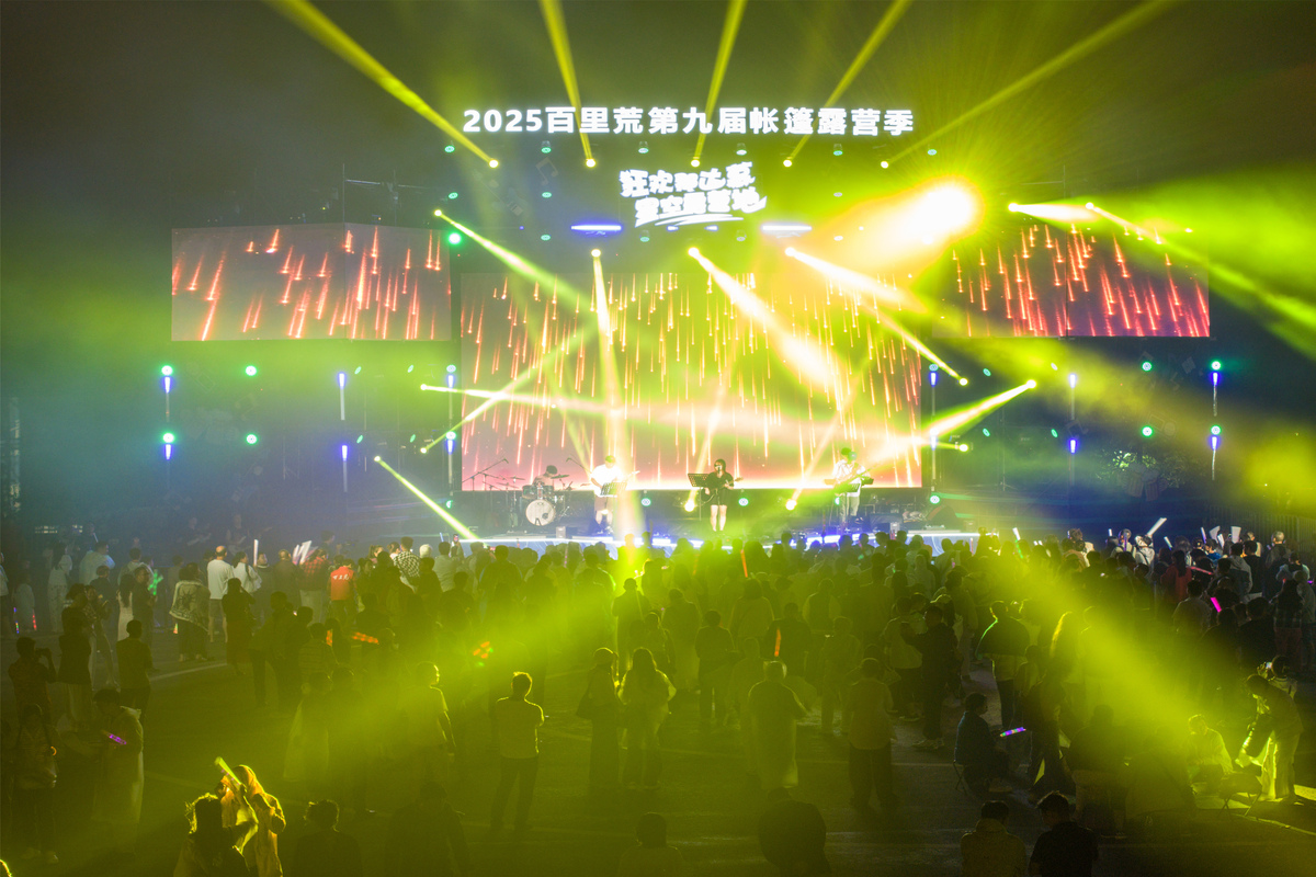 写一篇音乐节与演唱会：如何体验现场音乐的魅力与感动