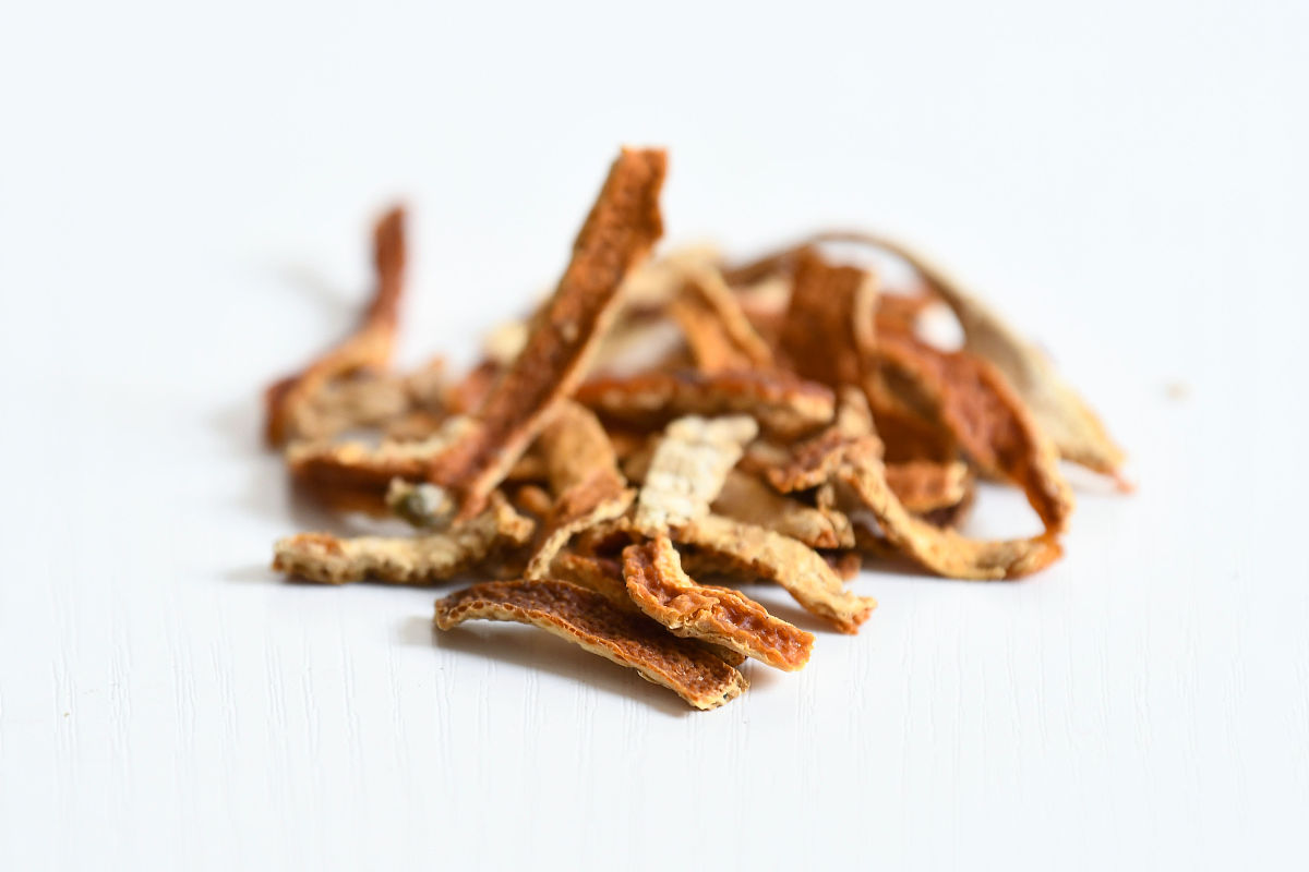 中医诊所实习报告：实地体验中医诊疗与理论知识