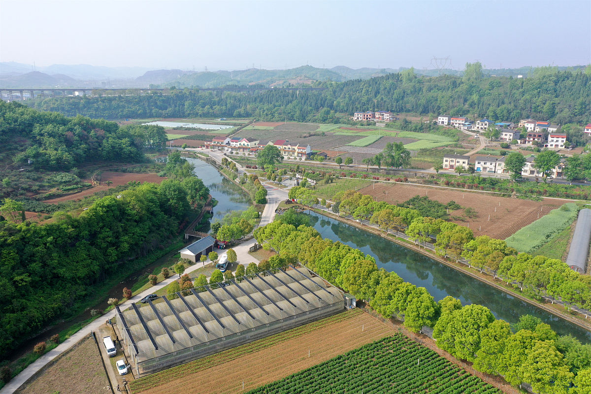 乡村振兴战略：基础、前提、关键、保障等十一个关键要素
