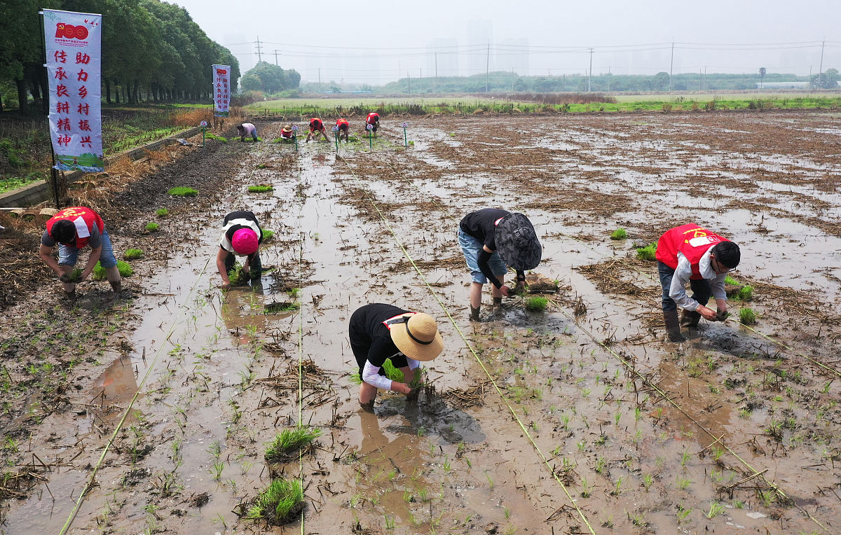 威远县职业技术学校2022年招生条件是什么