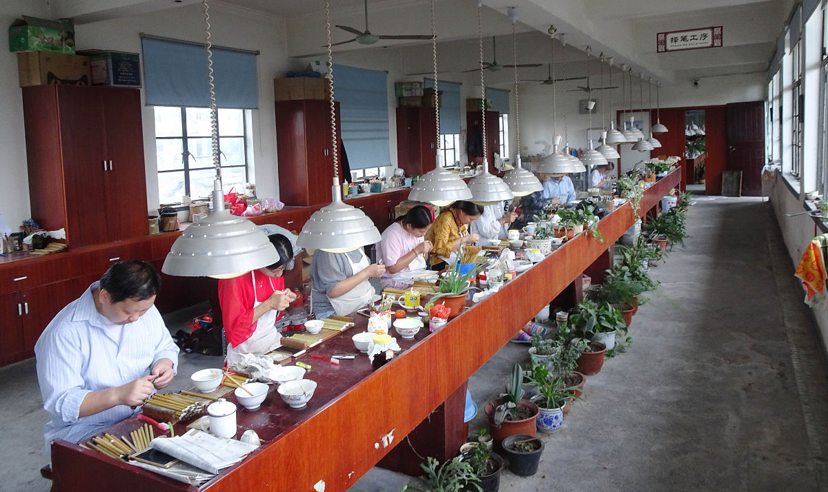 广西职业技术学院食品生物技术专业专业都学些什么