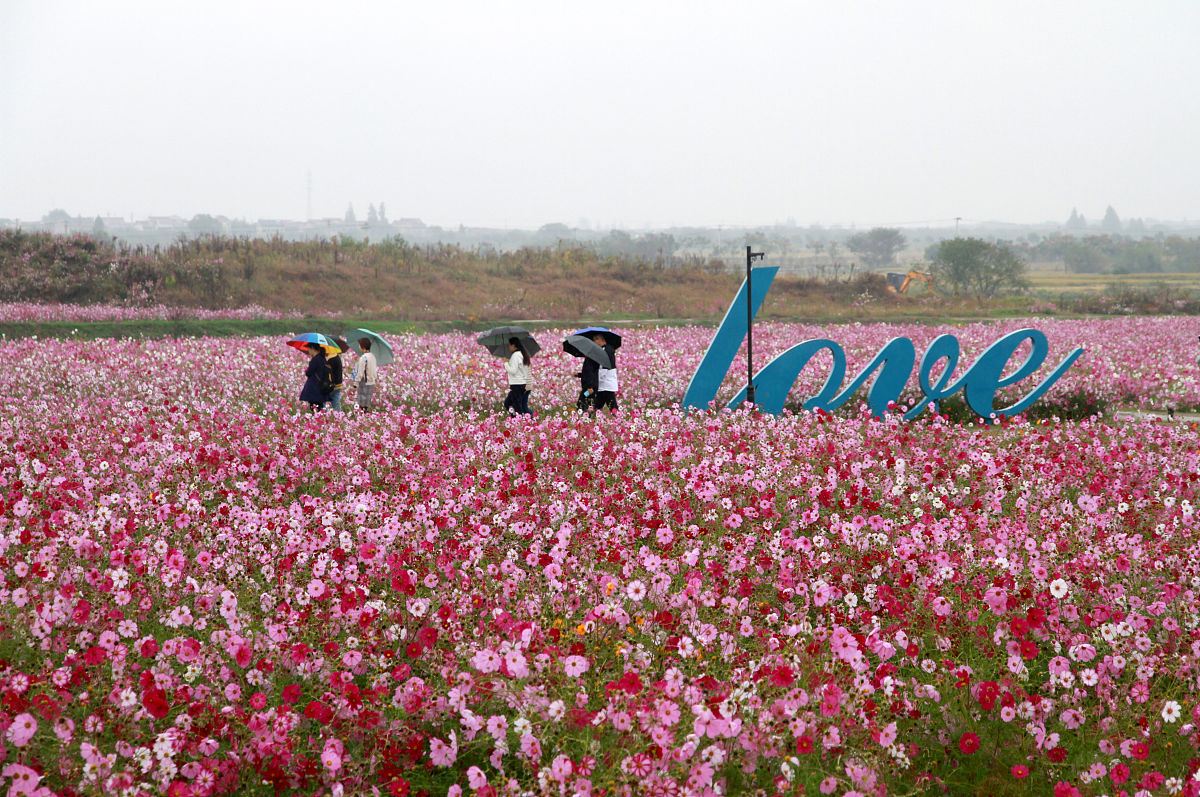 漫花庄园景点推荐内容长一点写的诗情画意一点