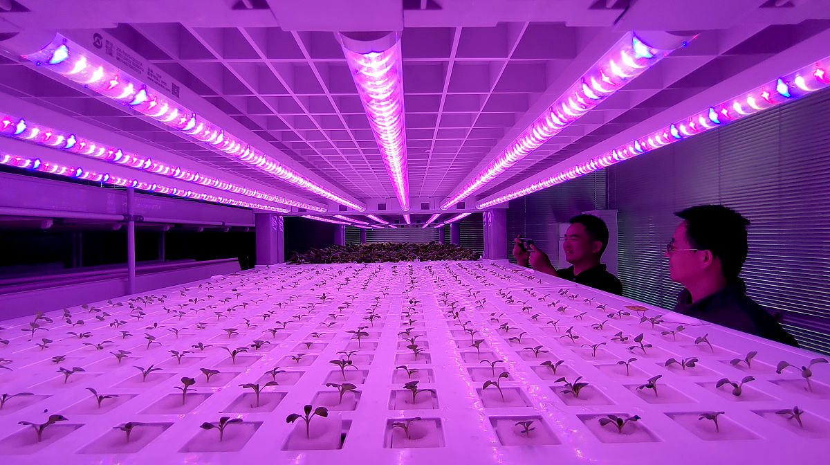 2023年湖北科技学院临床医学专升本考试科目：你需要了解的重点