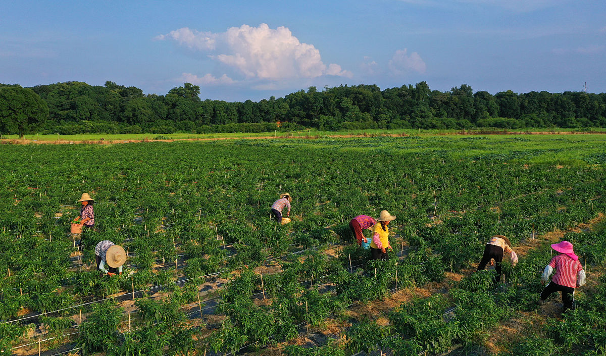 业务部职责：一支持乡村振兴：乡村振兴产品体系、乡村振兴目标任务、乡村振兴资产质量。二客户经理考核：客户经理人员配置、客户经理等级管理、客户经理上岗管理、客户经理绩效考核。三信贷业务培训、加强信贷业务人员培训提高综合素质提升业务技能每年应至少组织两次信贷条线业务人员培训等。根据以上内容撰写信贷管理自评情况报告内容包括涉及信贷管理的做法和成效存在问题及整改措施自评意见及结论下一步工作计划等。