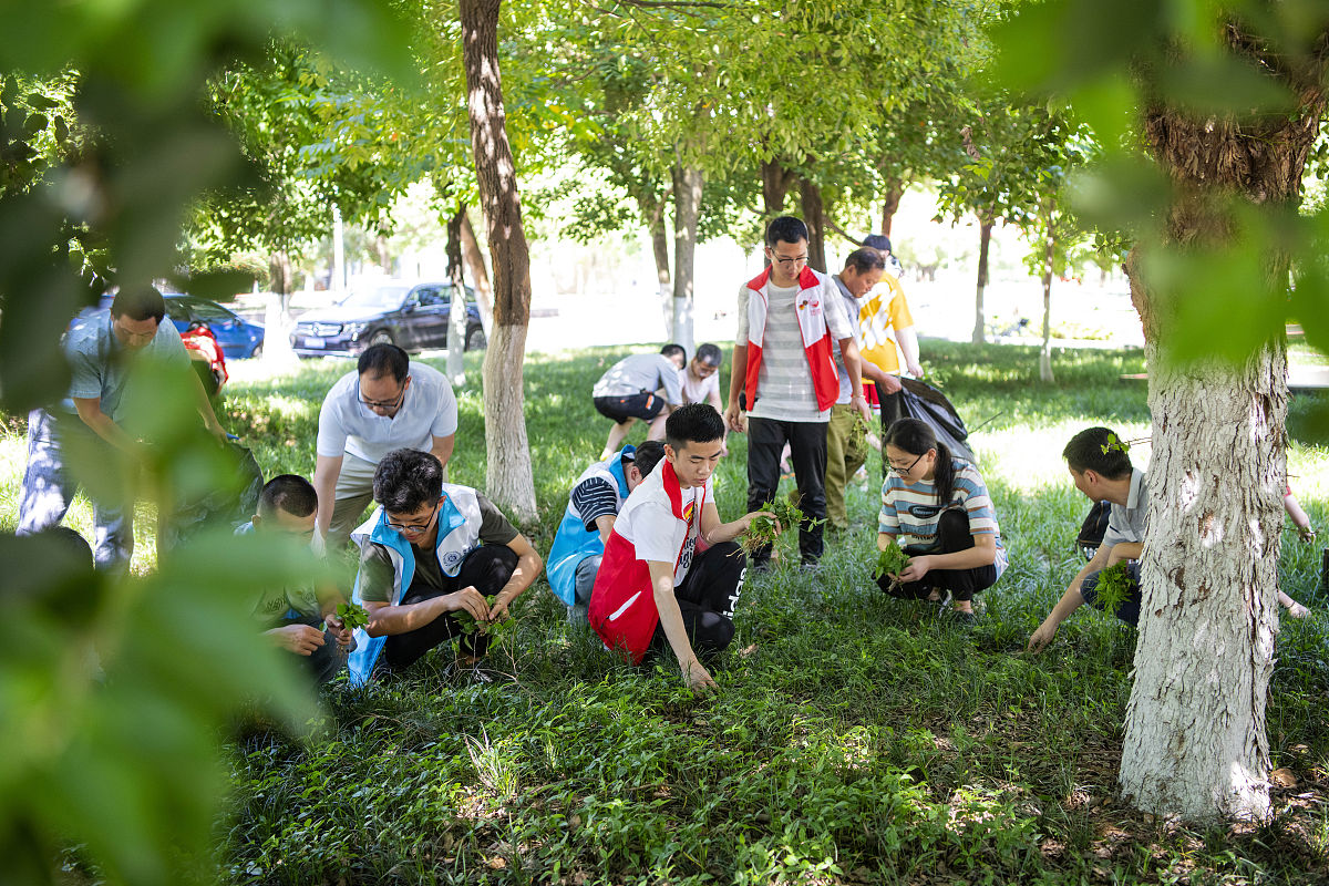 大学生参与乡村振兴种树计划：生态、经济、责任三赢