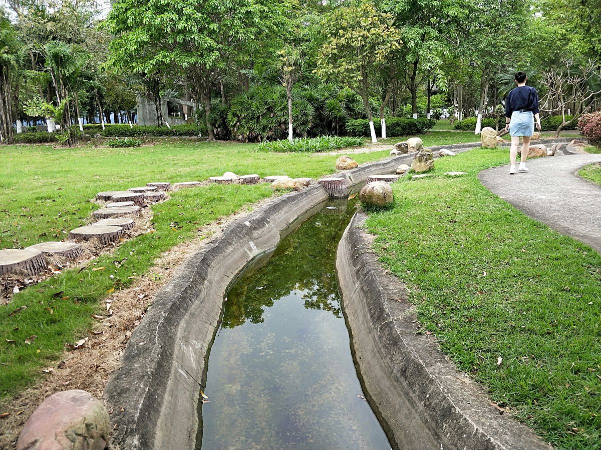 植物打造海绵校园：方法与案例