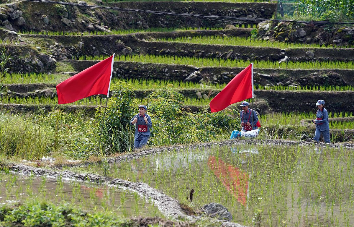 走跑交替教学主题名称推荐：活力步伐、节奏行进