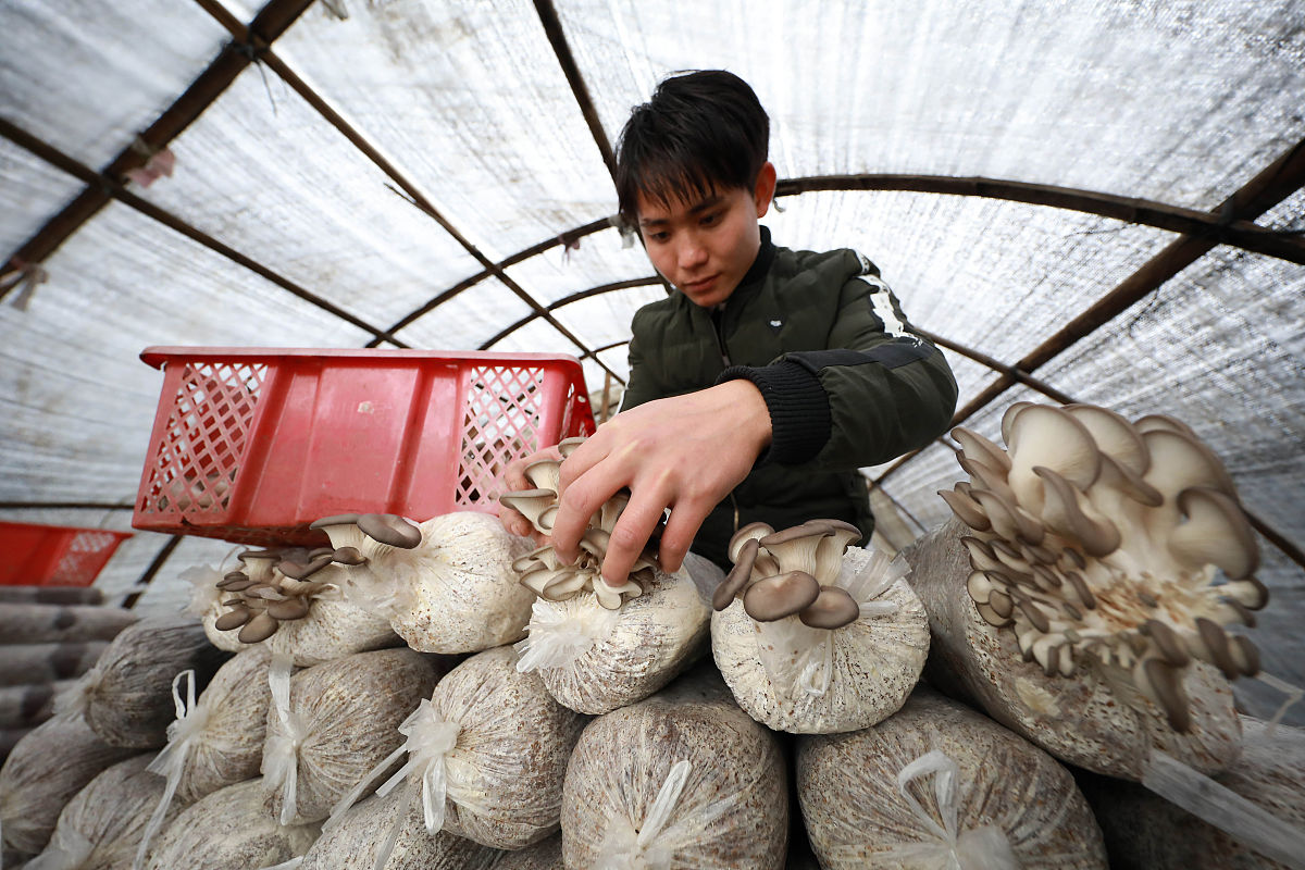 大学生自我成长报告1000字 - 成长历程与收获总结