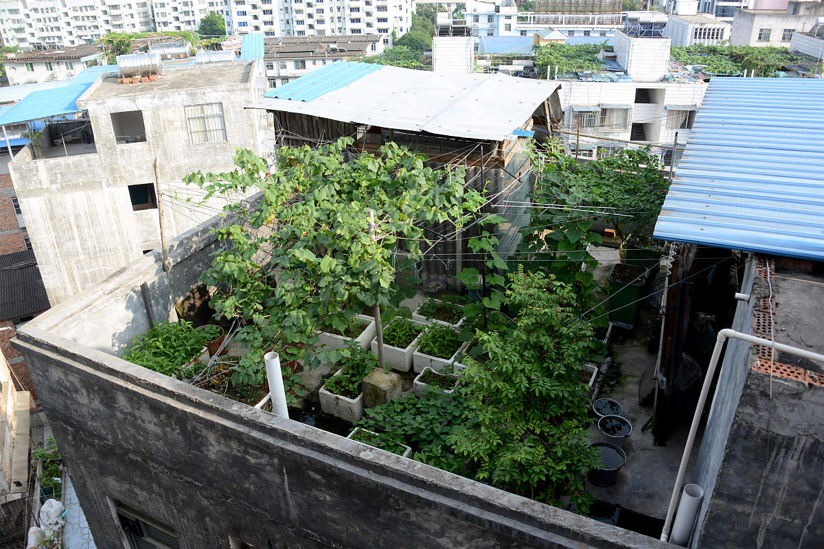 8一屋顶层什么意思