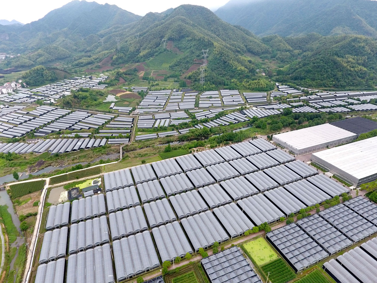 第二章 农业大棚平台的总体设计方案21农业大棚温湿度控制系统的设计指标要求22 系统设计的原则23方案比较