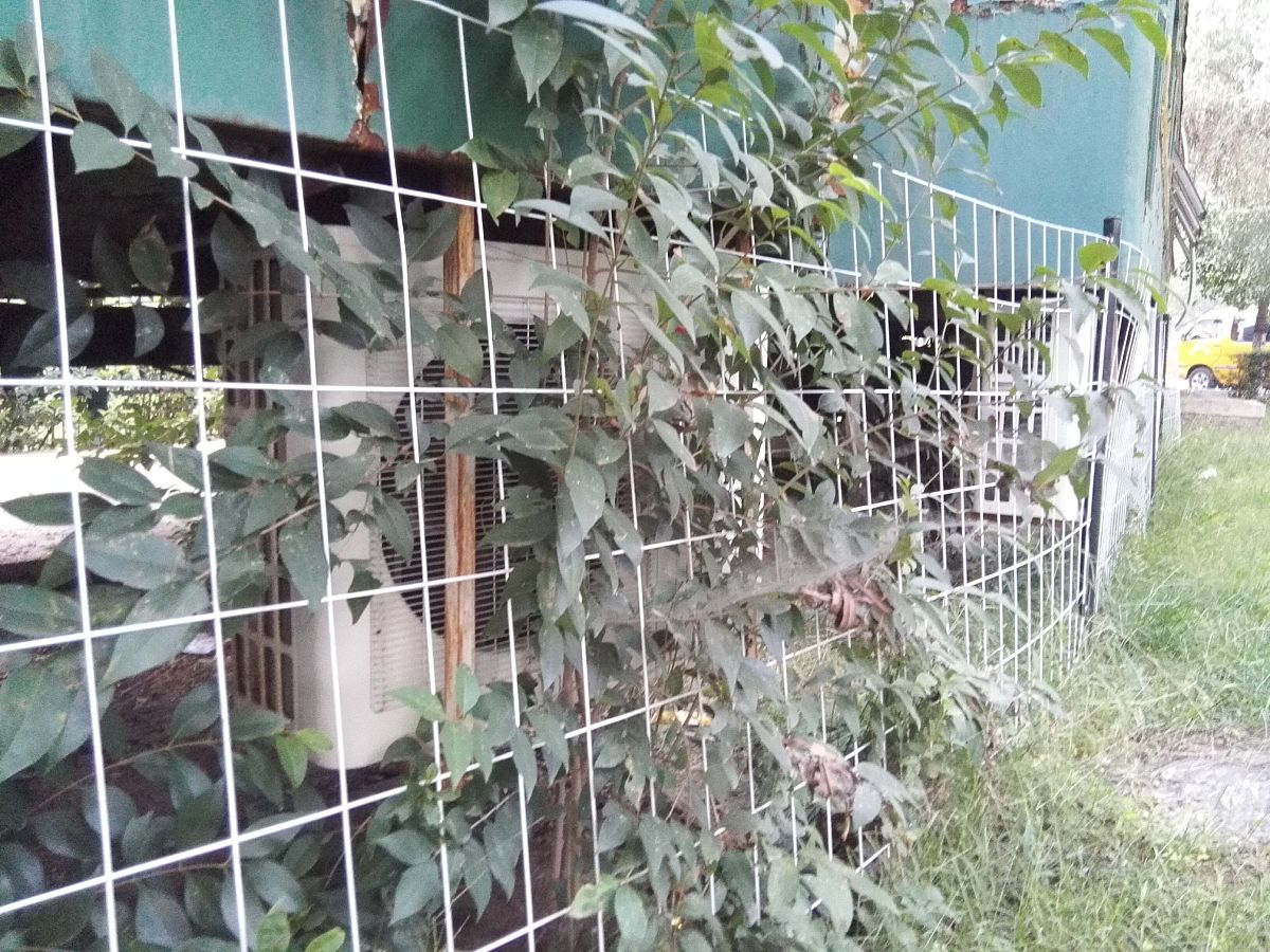 火车学校招生要求及优势：培养铁路人才的摇篮