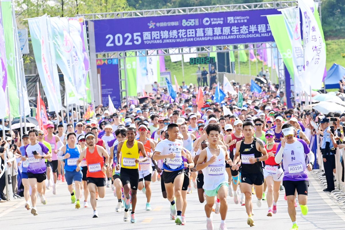 报名马拉松一般要多少钱