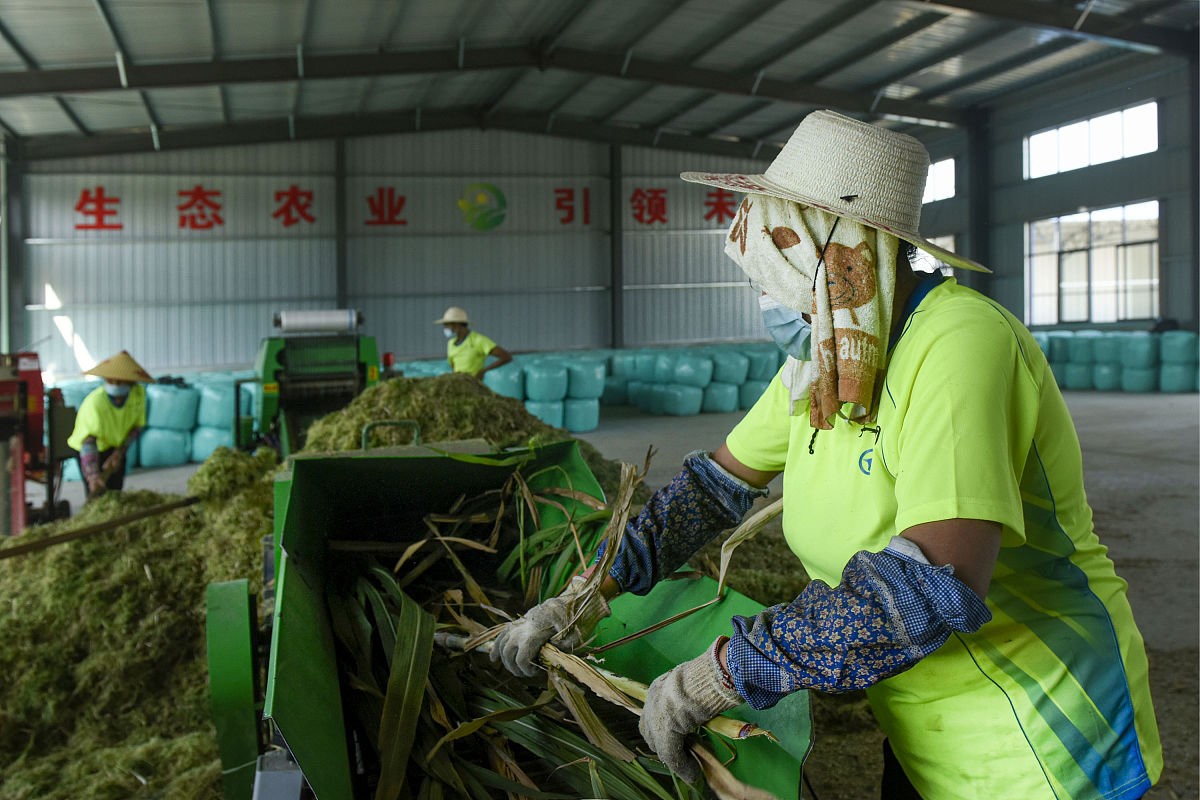 粮油和饲料加工技术专业怎么样？可以从事哪些就业岗位？