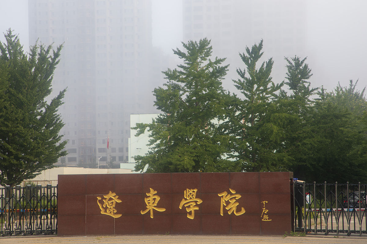 辽宁省辽东学院专升本网络工程专业大学第二年开设什么专业课